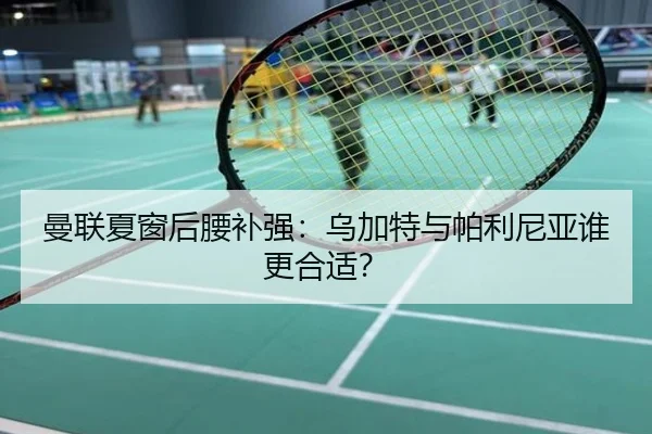 曼联夏窗后腰补强：乌加特与帕利尼亚谁更合适？